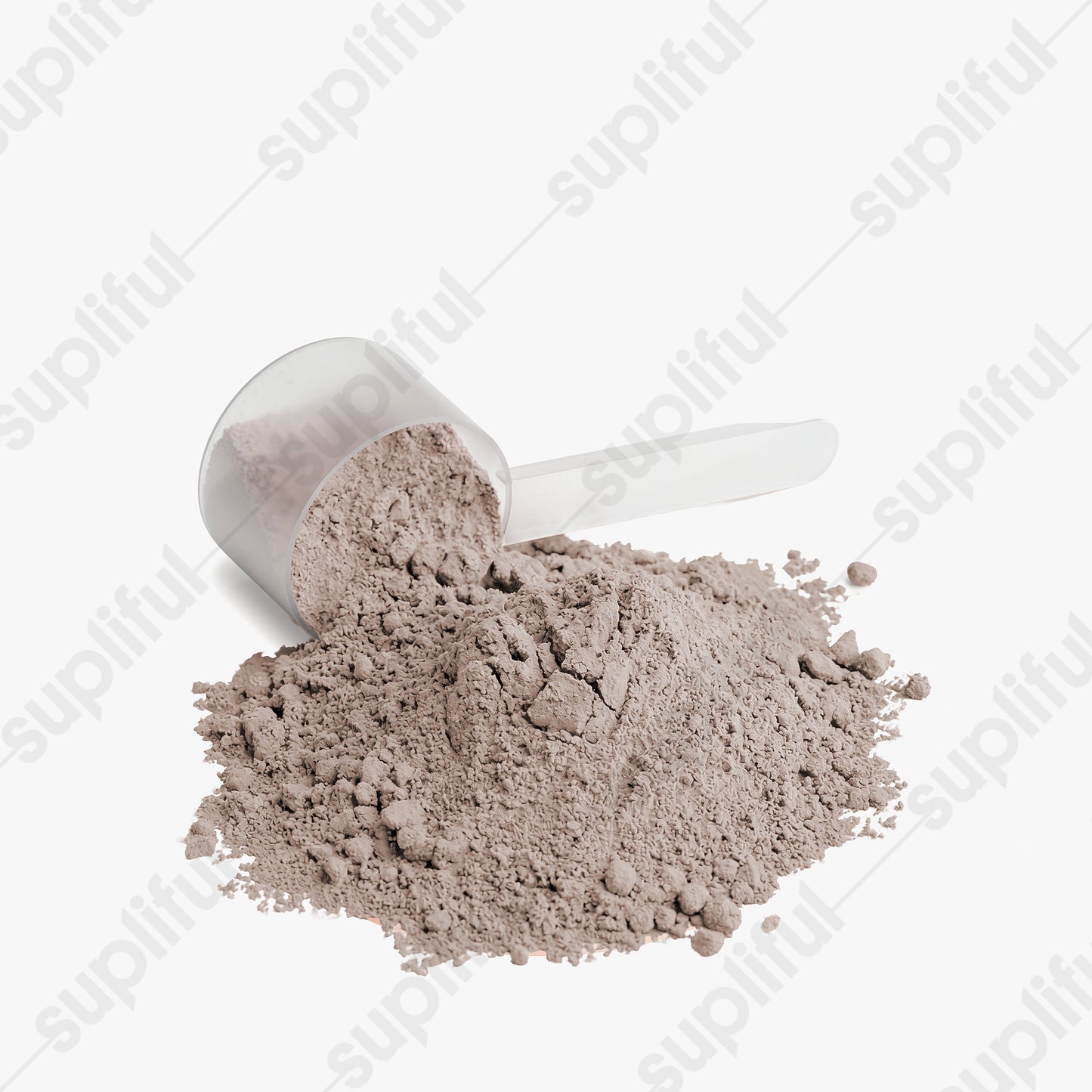 BUILD — Whey Protein Isolate (Chocolate)