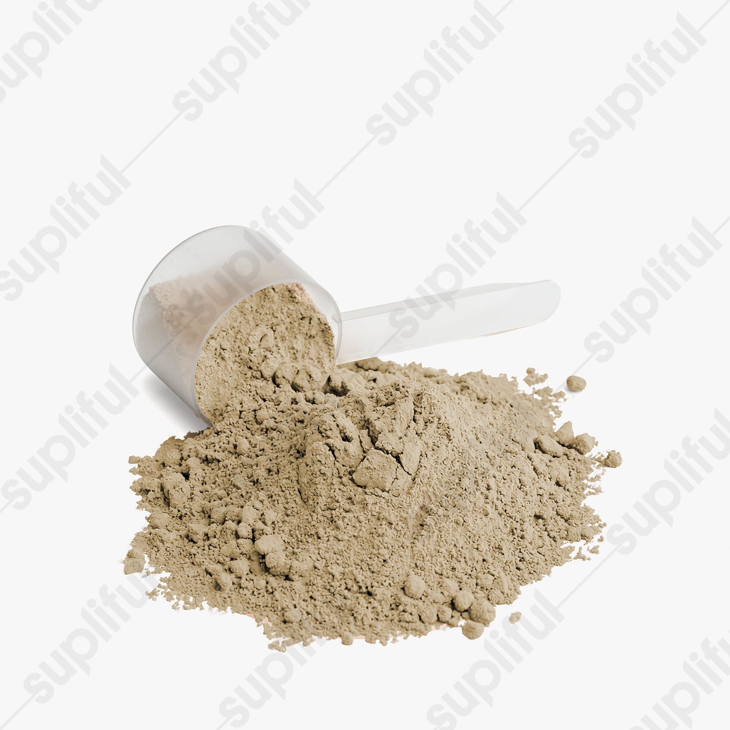 BUILD — Whey Protein Isolate (Vanilla)